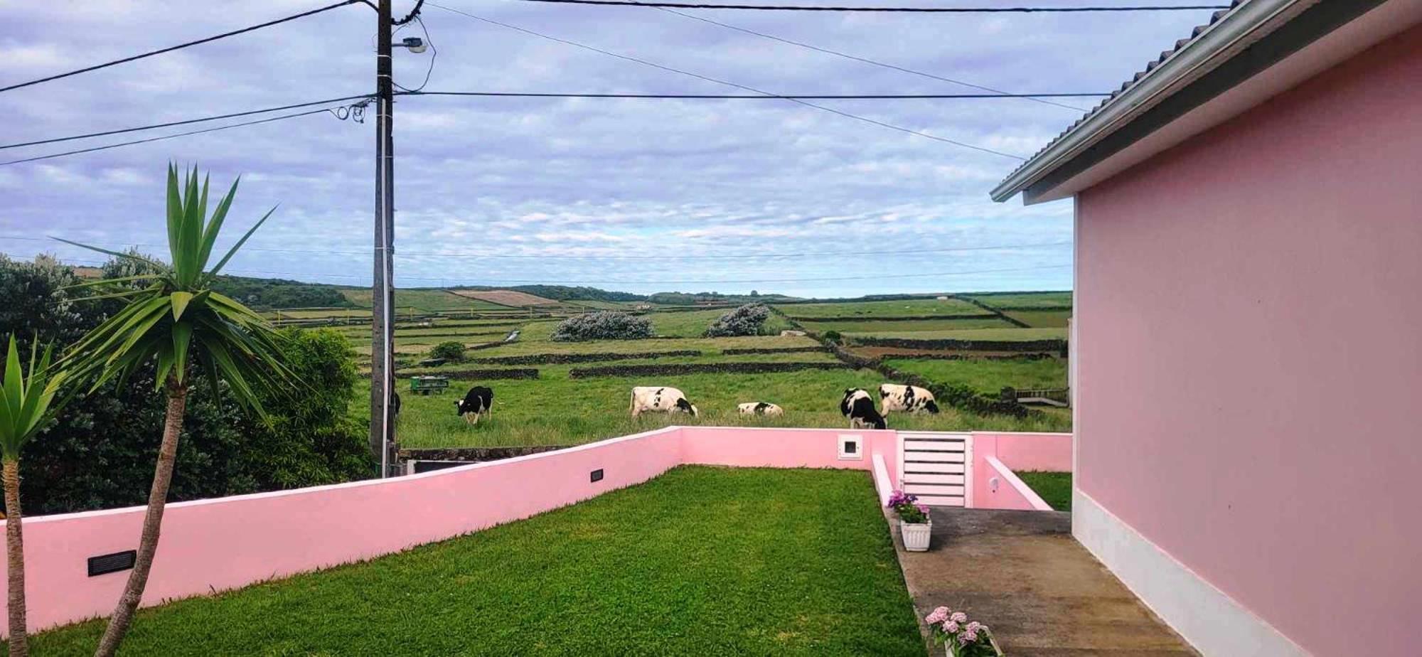 Apartmán The Music House Praia da Vitória Exteriér fotografie